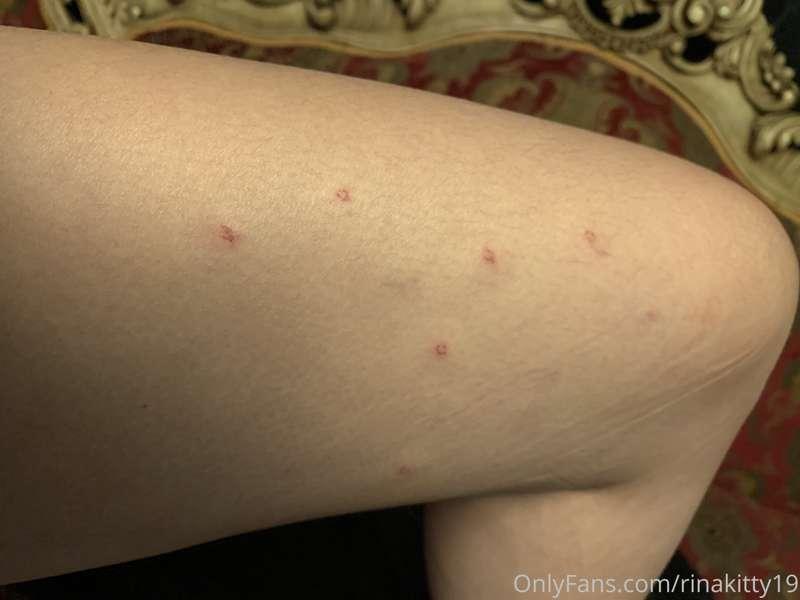 Guess what made these marks yesterday:p I’ll give you a hint..