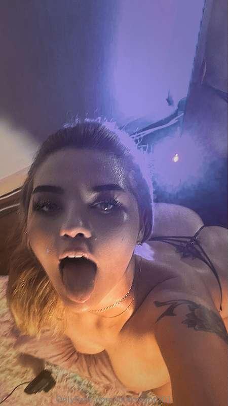 lolaknight201 image #0
