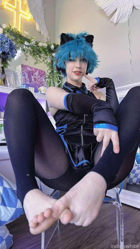 indigowhite image #73