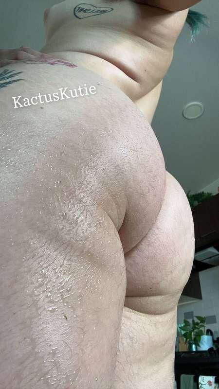 kactuskutie image #0