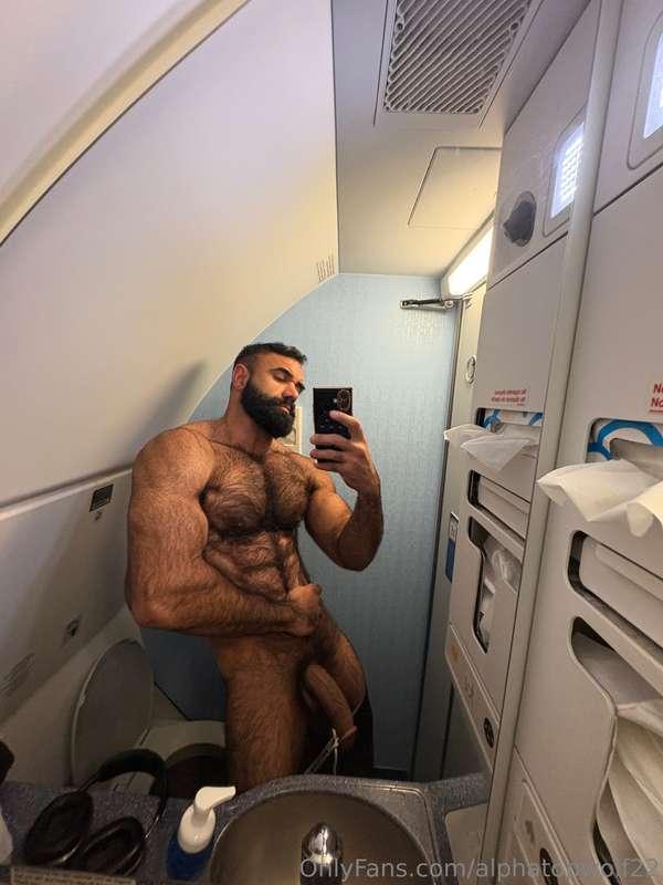 alphatopwolf22 image #2