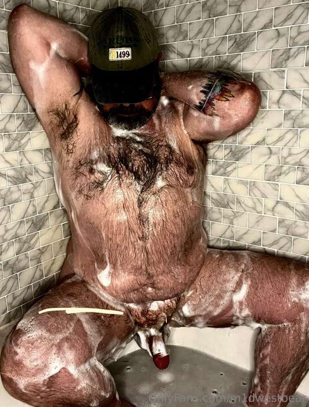 m1dwestbear image #3