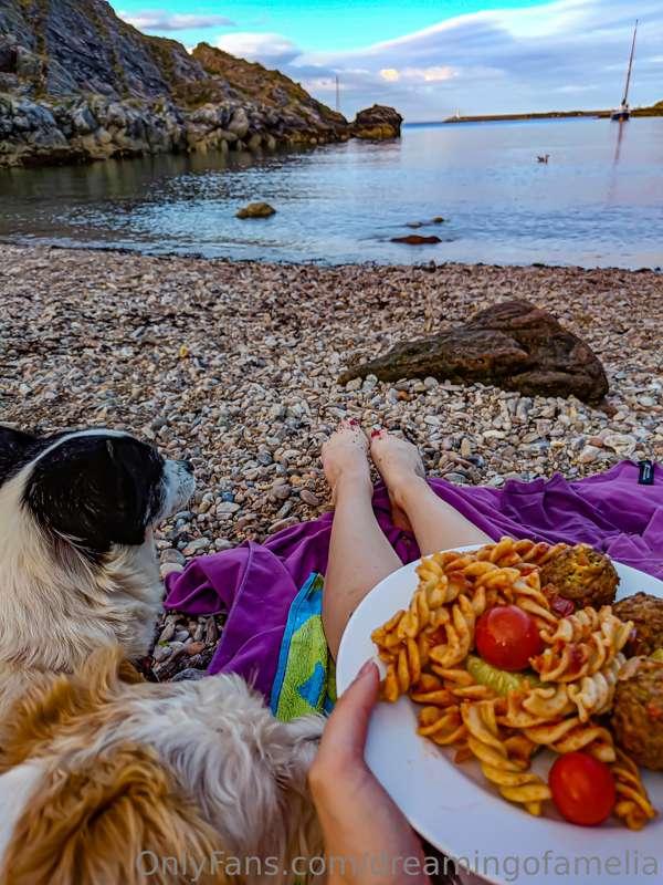 Dinner on the beach with Bob and Freya 👣🐾