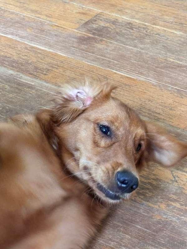 What a cutieee 🥰
