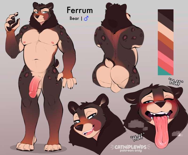 It's the bear 🐻