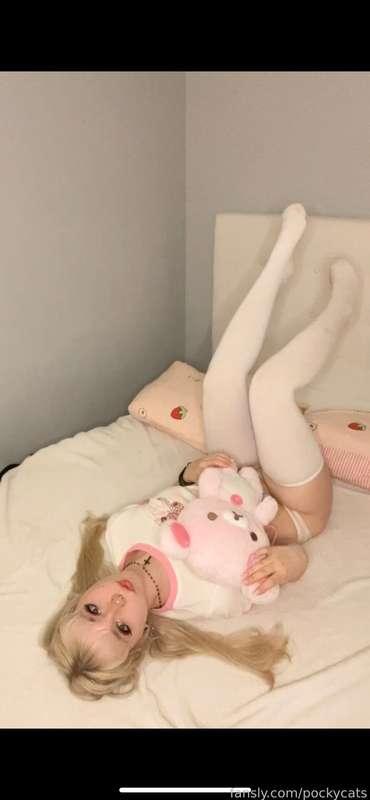 pockycats image #10