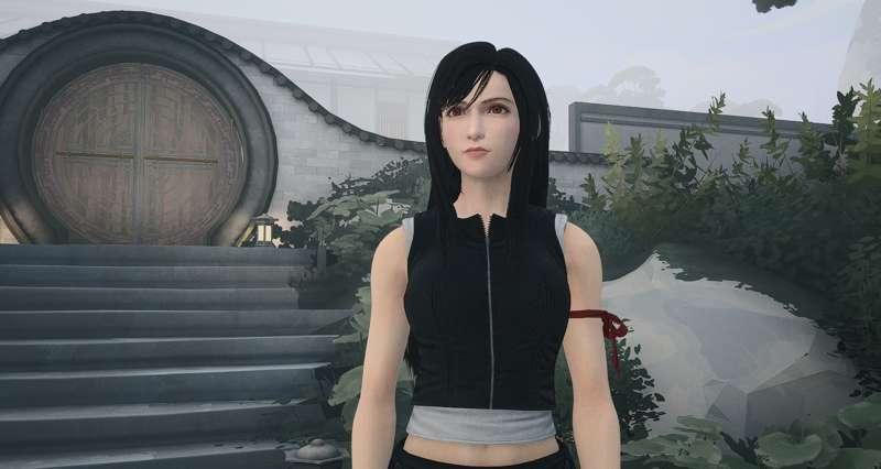 Tifa Leather Suit - Sifu Mod