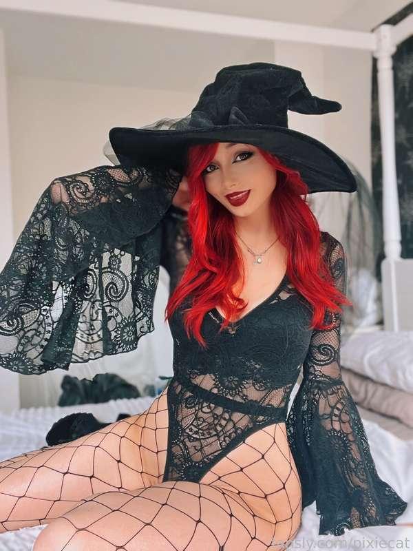pixiecat image #21