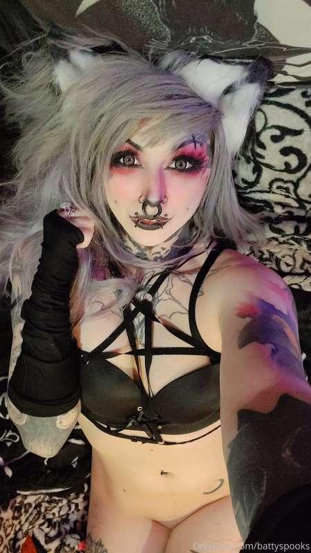 battyspooks image #7