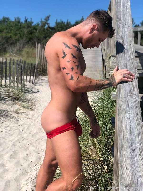Who loves the beach ?
