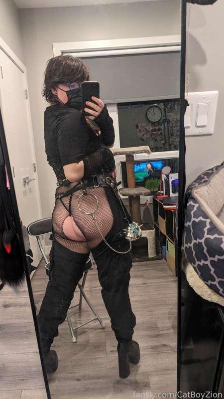 catboyzion image #5