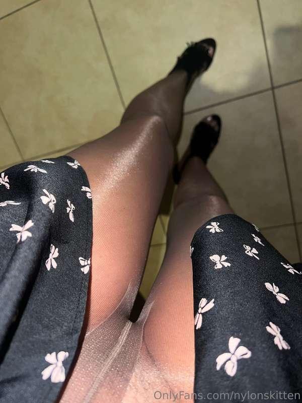 nylonskitten image #0