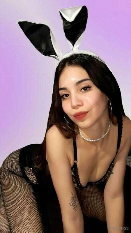Nueva temática viernes de conejita 🐰