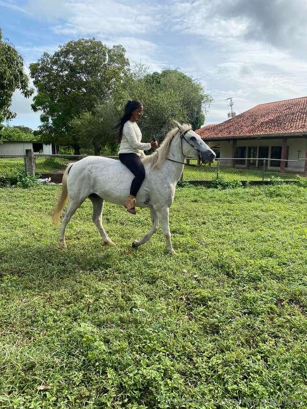 i really enjoy riding horses tho i think im gonna enjoy ridi..