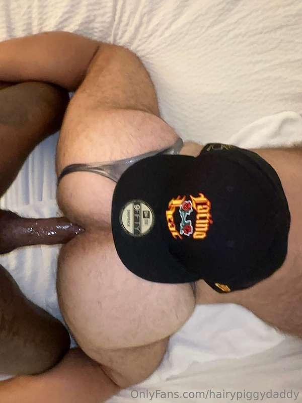 hairypiggydaddy image #15