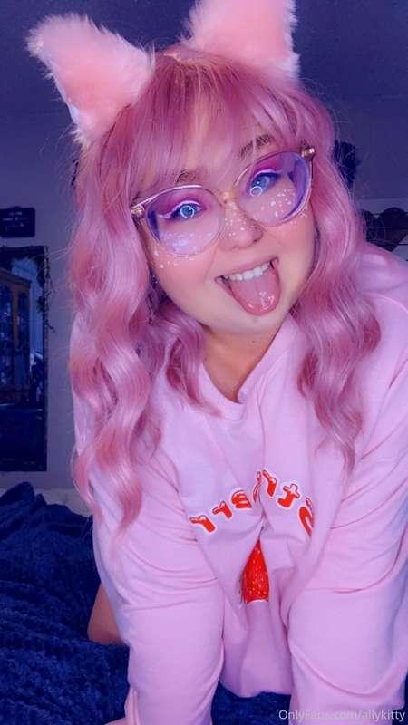 allykitty main image