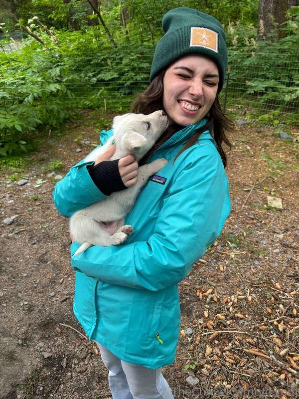 SOMEBODY GET ME A SLED DOG PUPPY...please🥹