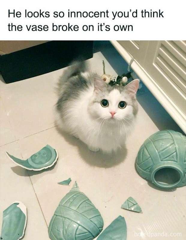 🥺