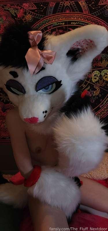 the_fluff_nextdoor image #5