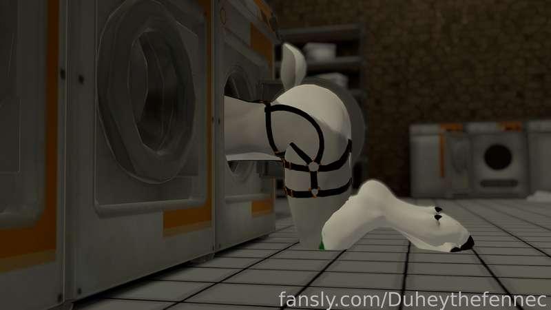 duheythefennec image #5