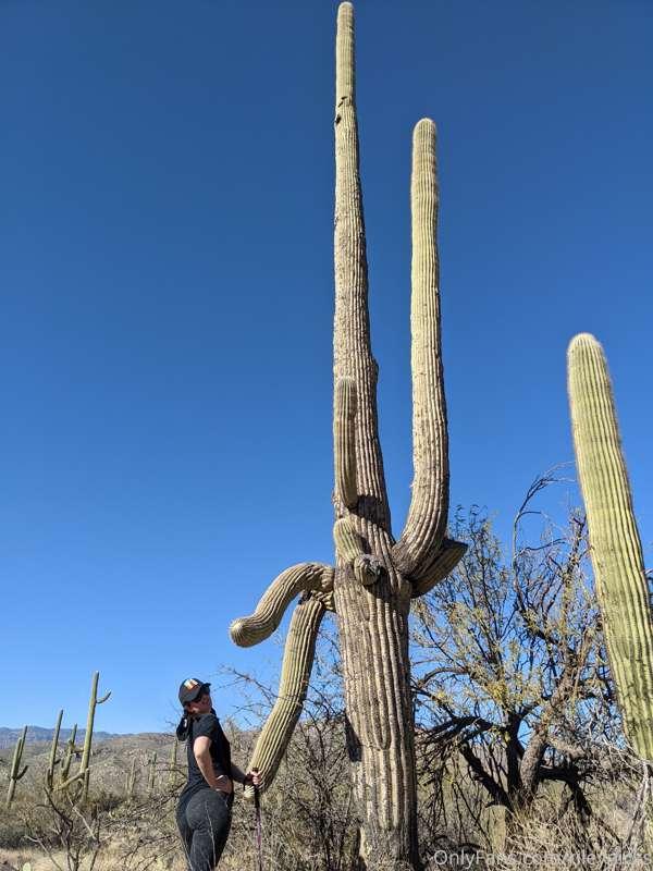 found a giant cactus yesterday