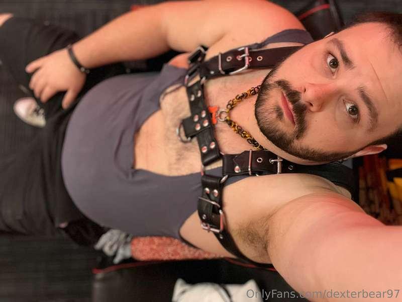 dexterbear97 image #5