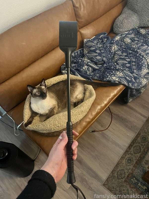 I NEED someone to use my new toy on me 😍😍 also if you bought this for me please reach out I can’t find you unfortunately from the information I’ve been given 