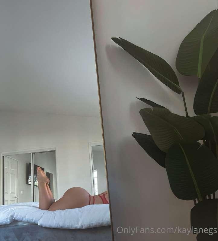 kaylanegs image #1