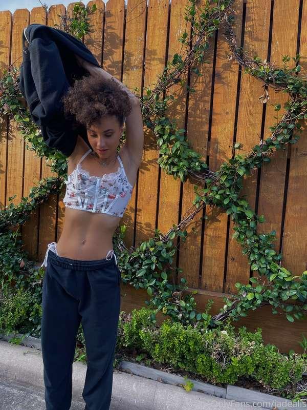 honeydewdrop image #0