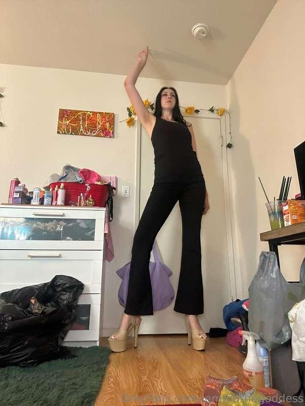 Over 7 feet tall 🤯🤯🤯