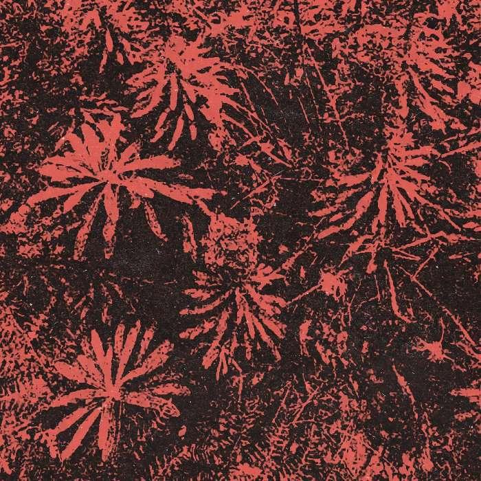stomp the jungle out now