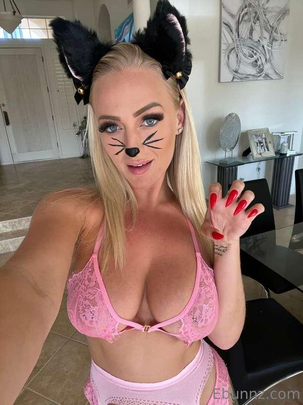 Happy Halloween from your favorite pink kitty 😺 💗 