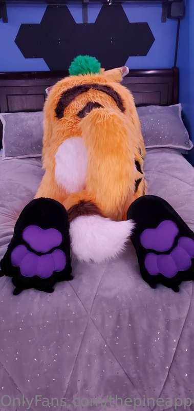 New body suit, tail, hand and feet paws. Also a nice big sof..