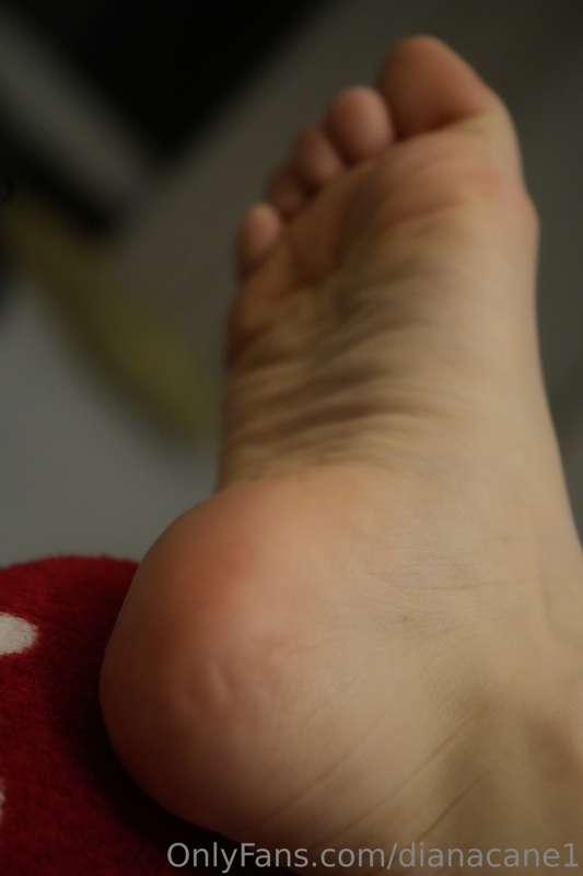 dianacane1 image #1