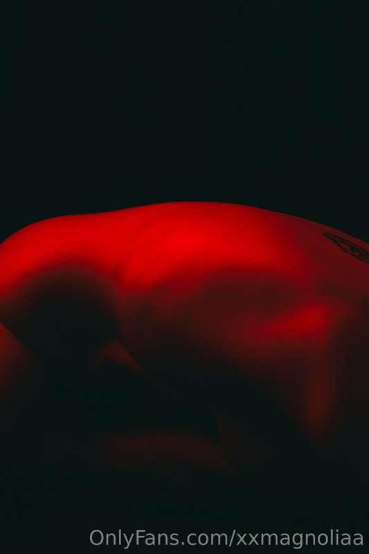 xxmagnoliaa image #14