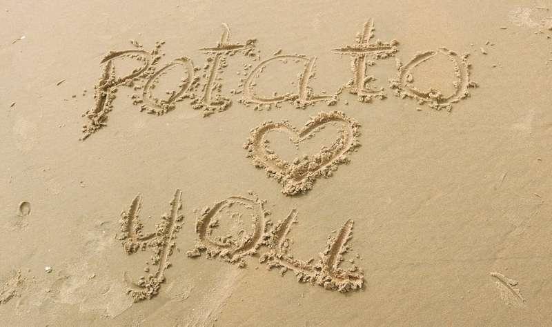 Potato's confide 