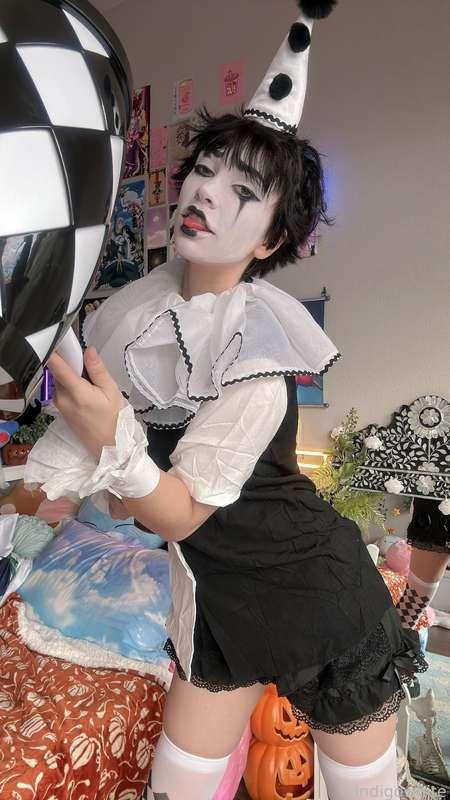 indigowhite image #56