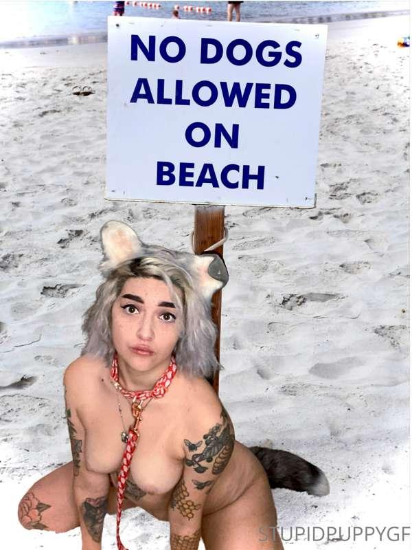 Sneaky peaky of puppy’s day at the beach 🏖
Outdoor content c..