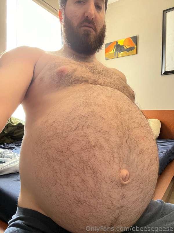 obeesegeese image #1