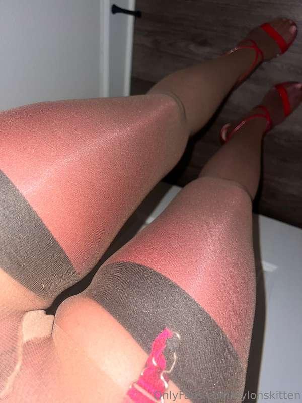 nylonskitten image #7