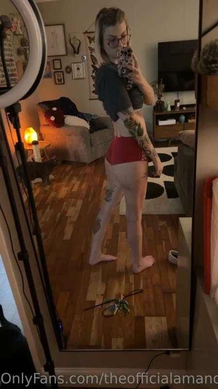 theofficialamandashow image #1