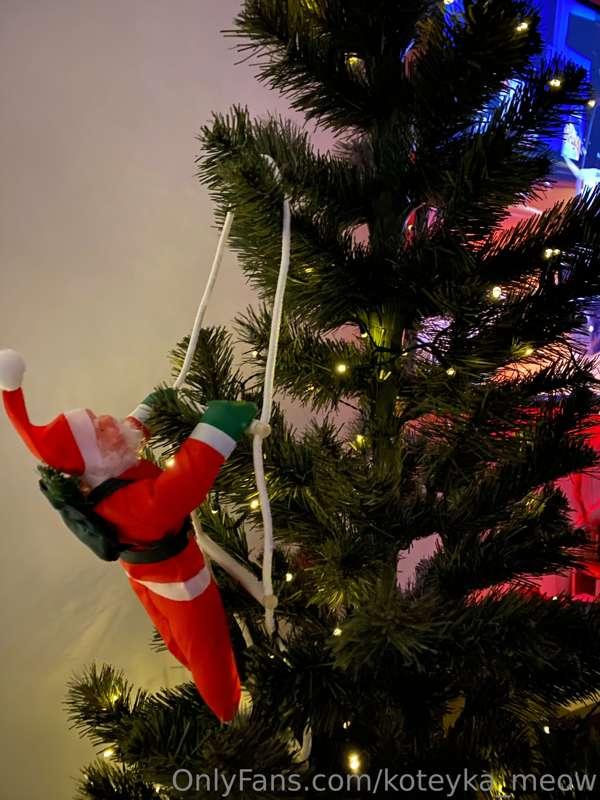 🎄
