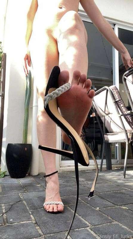 fifi_lurks image #1