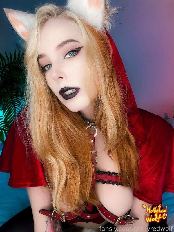 mollyredwolf image #2