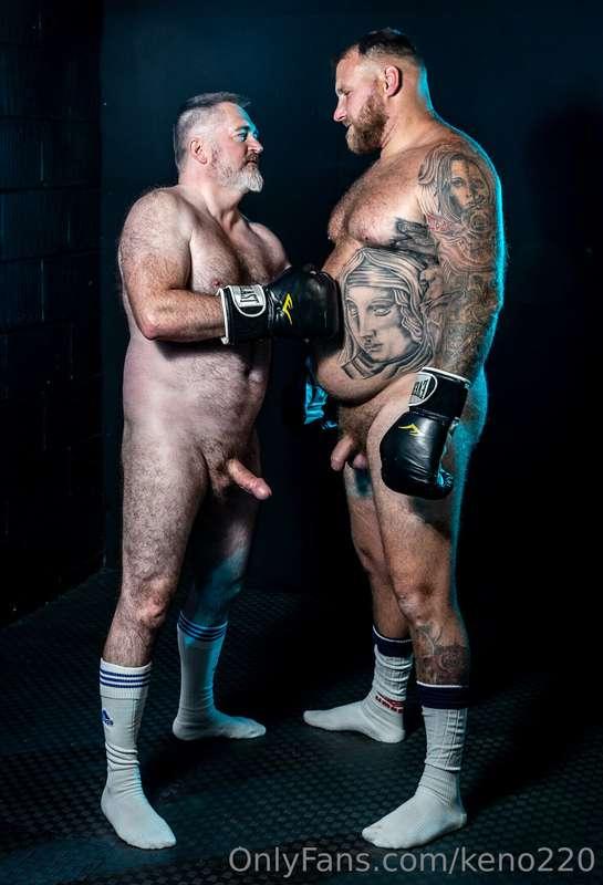 Boxing Bears - gallery 1 - shoot with @u146245645