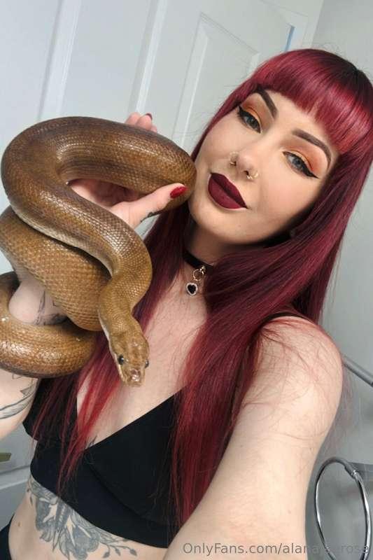 You guys ready for the year of the snake!? 🐍 Another photosh..