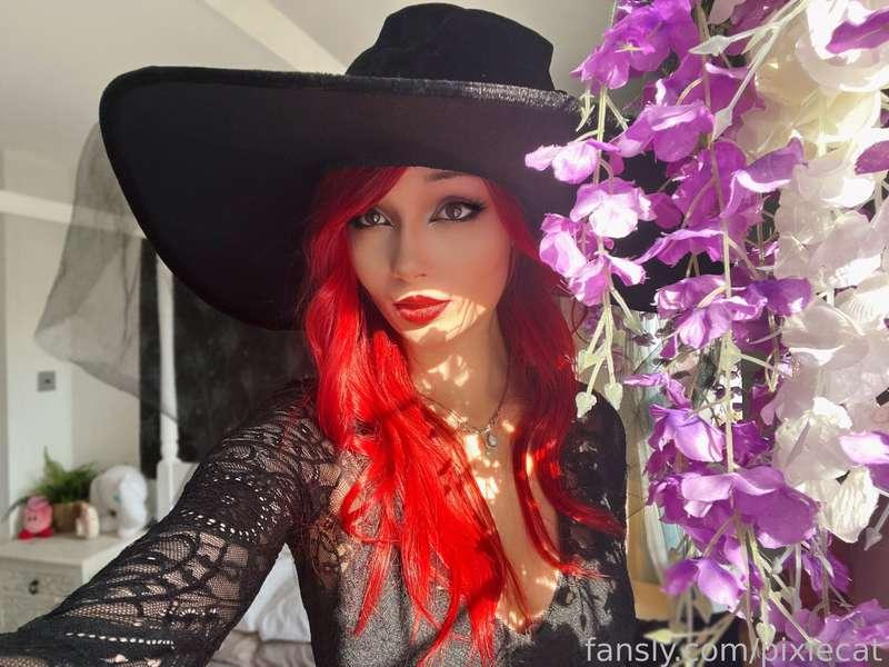 pixiecat image #2