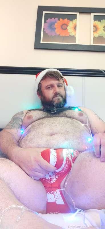 bearpamp image #2