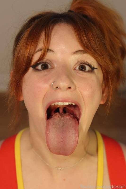 sadiespit image #5
