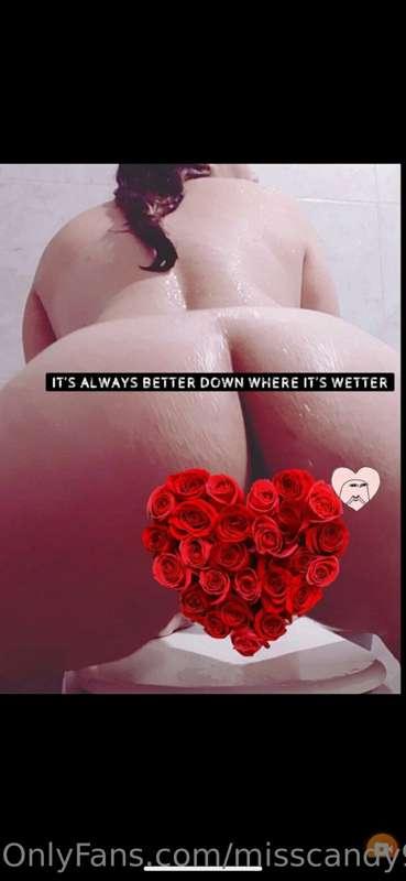 🖐🏽 STOP 👉 ## @STERPASION
   ## @STERPASION
*Dangerously curv..